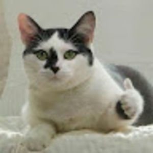 Meet your Posher, Luna